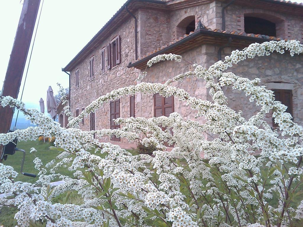 Agriturismo Il Poggiolo Montemerano Dış mekan fotoğraf