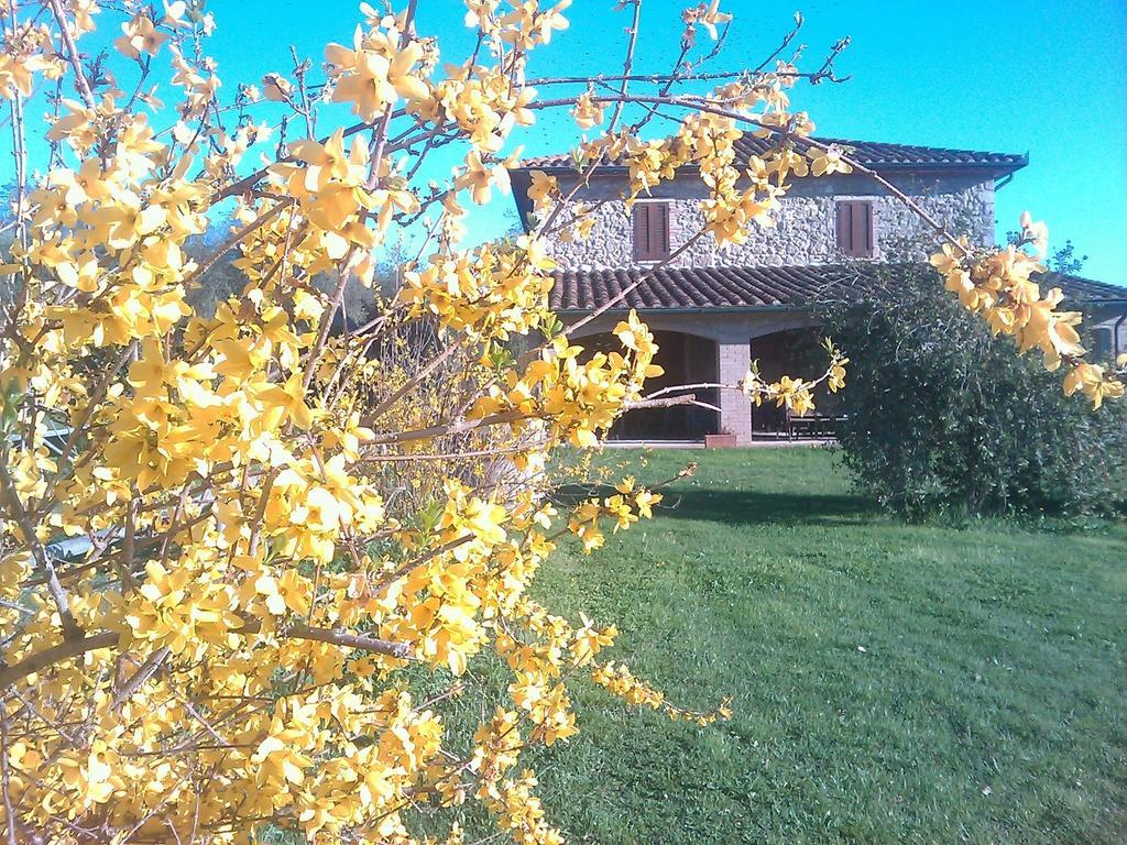 Agriturismo Il Poggiolo Montemerano Dış mekan fotoğraf